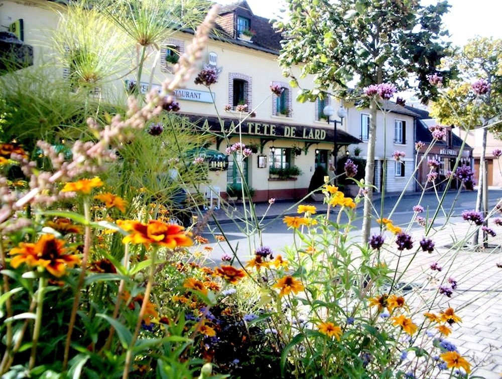 Logis Auberge A La Tete De Lard La Ferté-Imbault Екстериор снимка